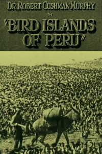 Bird Islands of Peru (1930)