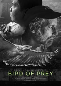 Bird of Prey (2018)