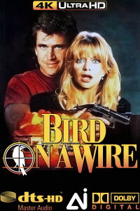 Bird on a Wire (1990)