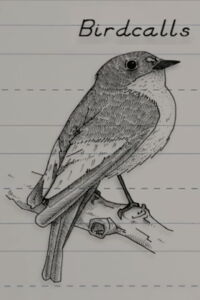 Birdcalls (2005)