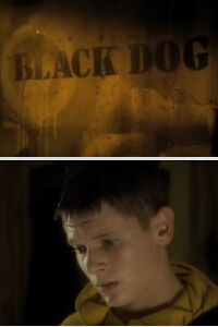 Black Dog (2006)