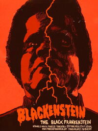 Blackenstein (1973)