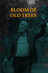 Bloom of Old Trees (2024)
