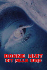 Bonne nuit dit mlle Bird (2012)