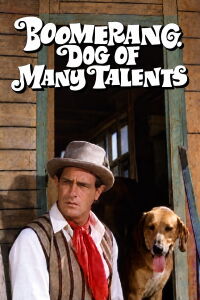Boomerang, Dog of Many Talents (1968)