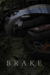 Brake (2019)