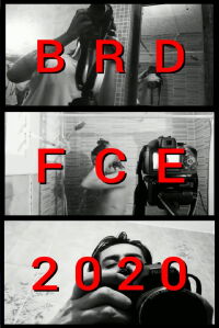BRDFCE2020 (2020)