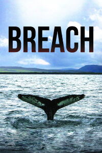 Breach (2015)