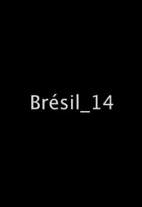 Brésil_14 (2017)