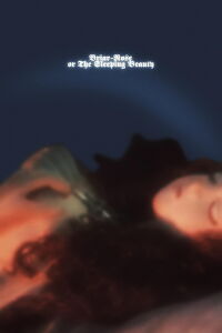 Briar-Rose or the Sleeping Beauty (1990)