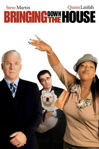 Bringing Down the House (2003)