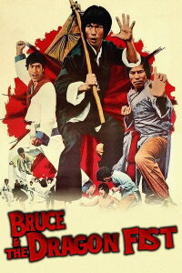 Bruce and Dragon Fist (1977)