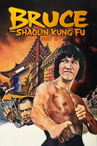 Bruce and Shaolin Kung Fu 2 (1978)