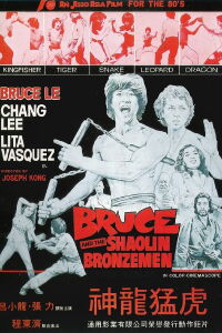Bruce and the Shaolin Bronzemen (1977)