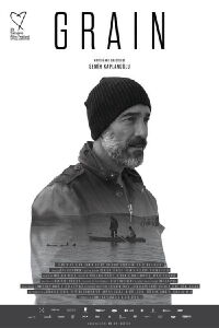 Buğday (2017)