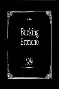 Bucking Broncho (1894)