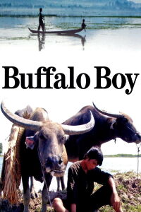 Buffalo Boy (2004)