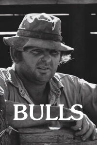 Bulls (2008)