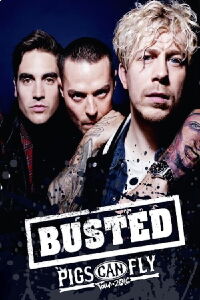 Busted: Pigs Can Fly Tour 2016 (2018)