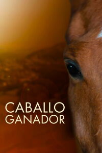 Caballo ganador (2015)