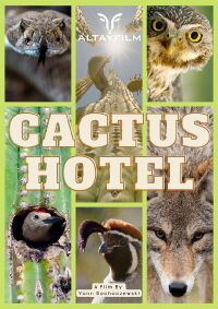 Cactus Hotel (2023)