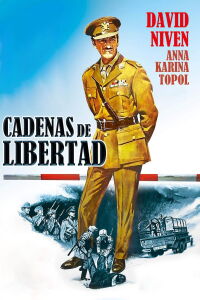 Cadenas de libertad (1969)