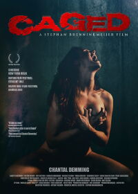 Captifs (2011)