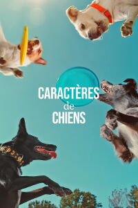 Caractères de chiens (2024)