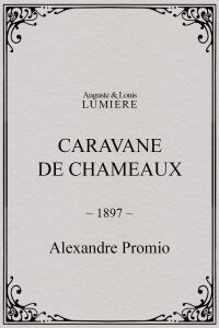 Caravane de chameaux (1897)