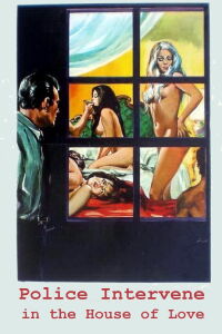 Casa dell'amore... la polizia interviene (1978)