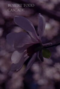 Cascade (2009)