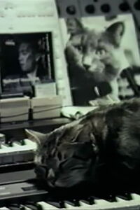 Cat Listening to Music (1988)