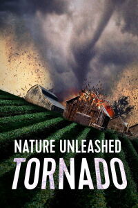 Catastrophe naturelle: Tornade (2005)