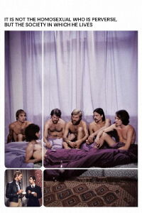Ce n'est pas l'homosexuel qui est pervers, mais la situation dans laquelle il vit (1971)