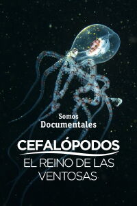 Cefalópodos, el reino de las ventosas (2020)