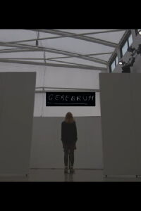 Cerebrum (2020)