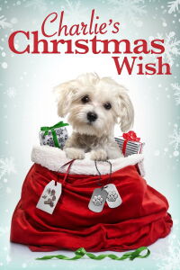 Charlie's Christmas Wish (2020)