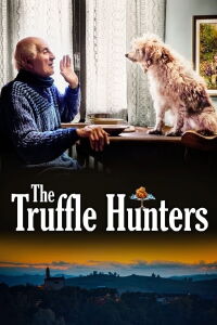 Chasseurs de truffes (2020)