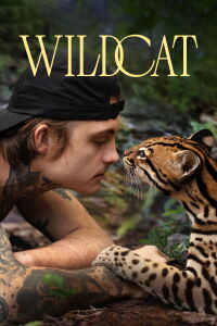 Chat sauvage (2022)