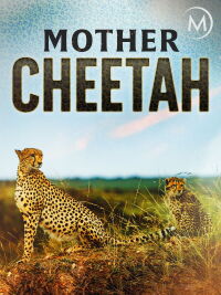 Cheetah: Fatal Instinct (2013)