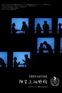 Chien Sauvage (2024)