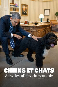 Chiens et chats dans les allées du pouvoir (2024)