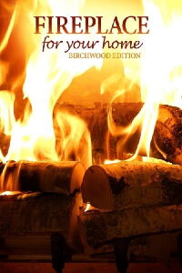 Chimenea en tu hogar: Los chisporroteos de la madera de abedul (2011)