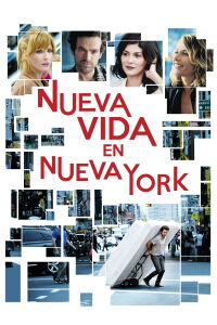 Chinese Puzzle (2013)