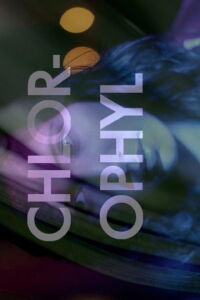 Chlorophyl (2011)