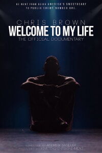 Chris Brown: Bienvenidos a mi vida (2017)