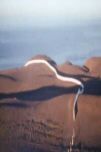Christo Running Fence Reels (1976)