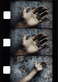 Chutes de Cristo (1981)