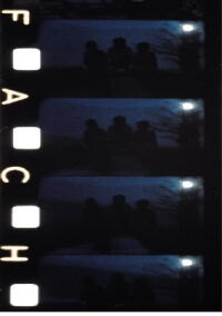 Chutes de Esmeralda (1981)