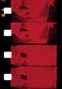 Chutes de Liberté provisoire (1981)